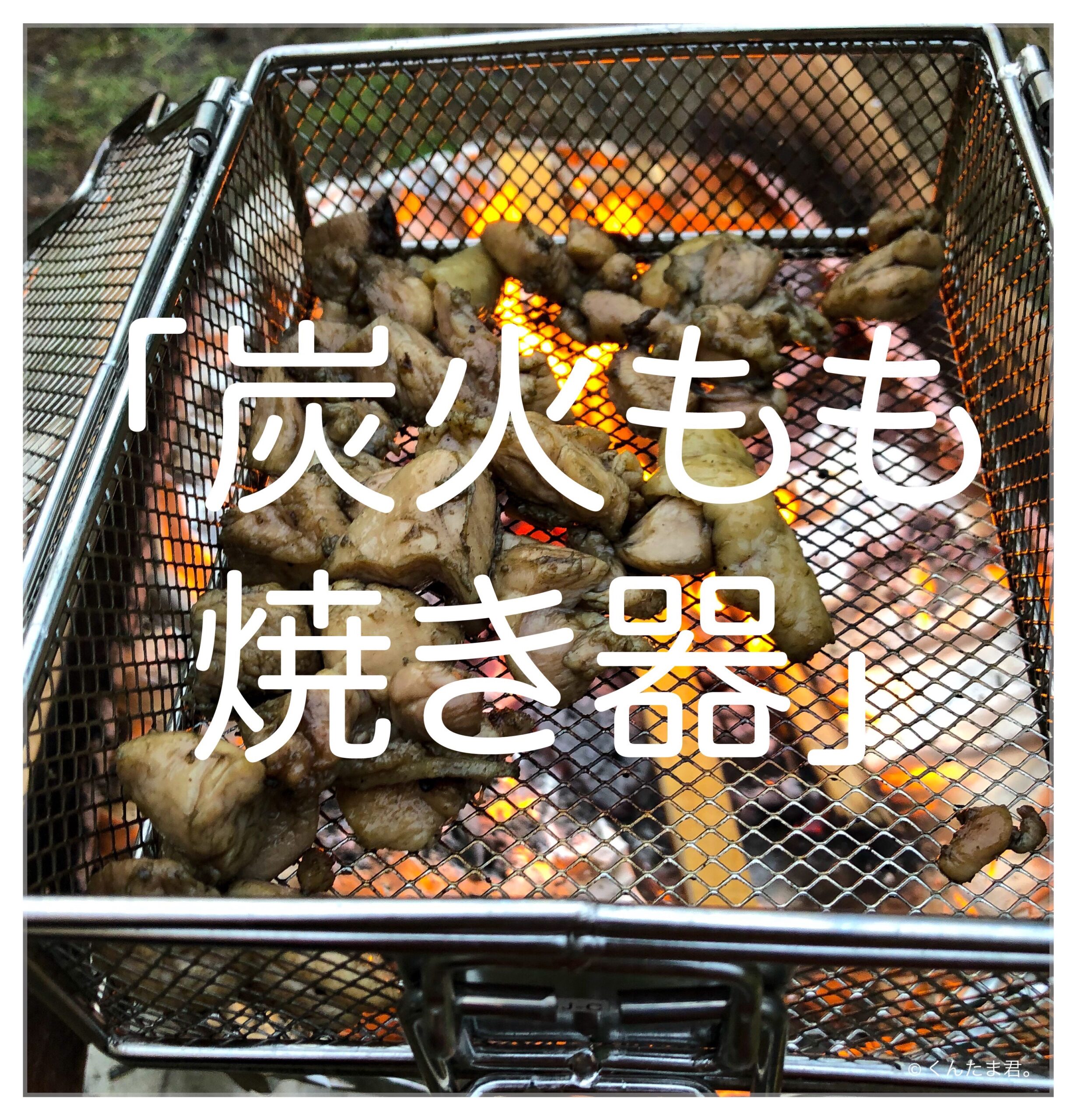 ロゴス「炭火もも焼き器」で作る「鶏もも肉の炭火焼」が美味。 | くん ...